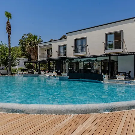 Отель Costa 3s *