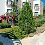 Costa 3s Αλικαρνασσός
